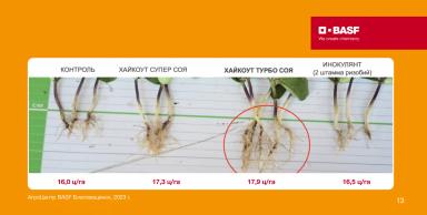 ХАЙКОУТ® ТУРБО СОЯ — турборежим питания и защиты сои