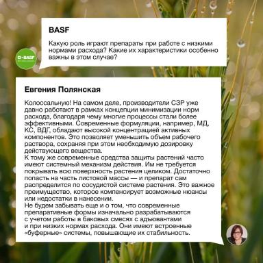 Процесс опрыскивания как часть прибыльного земледелия