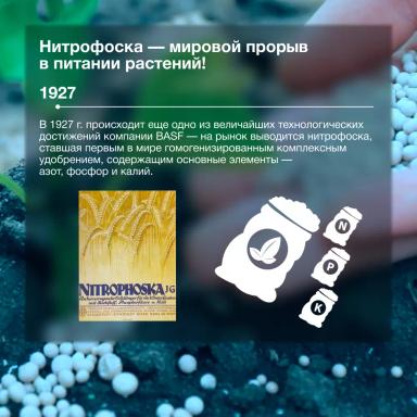 День химика