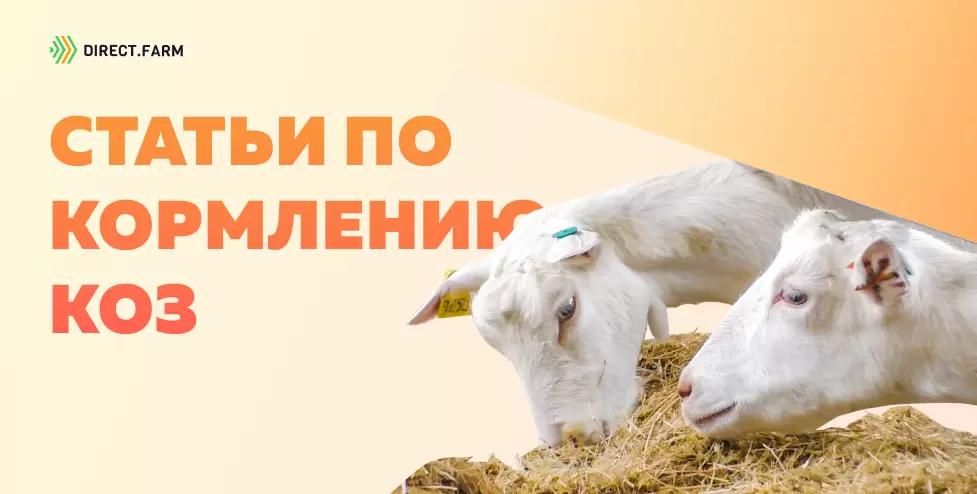 ТОП-8 статей по кормлению коз