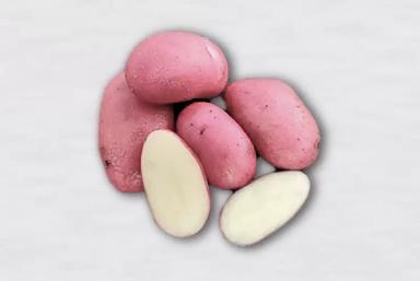 Легенда картофель