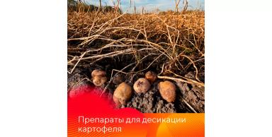 Препараты для десикации картофеля