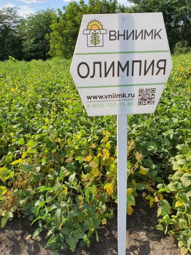 Олимпия сорт сои