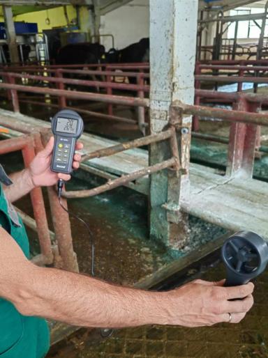 Правильная стратегия охлаждения коров при тепловом стрессе=профилактика хромоты!