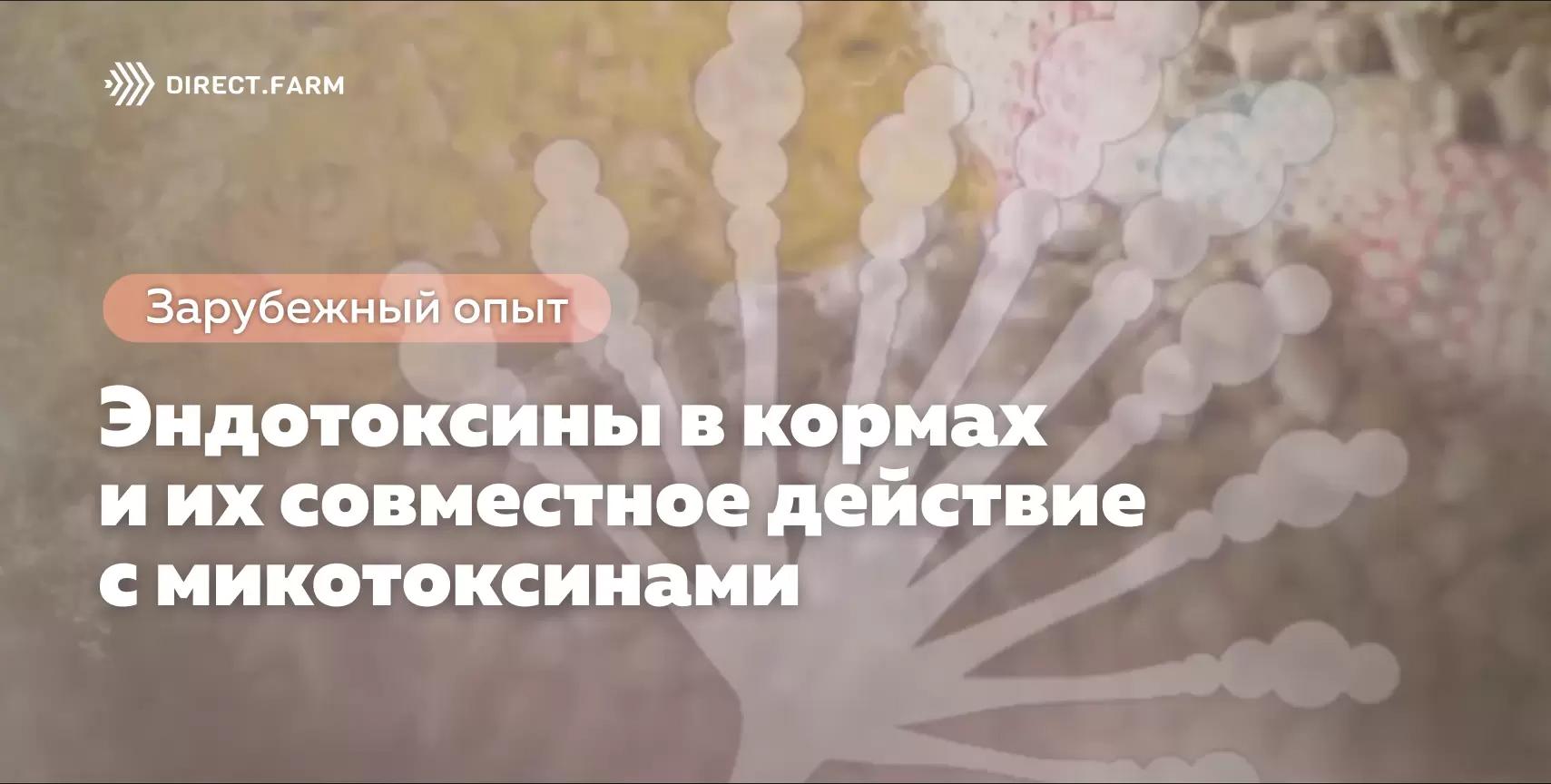 Эндотоксины в кормах и их совместное действие с микотоксинами