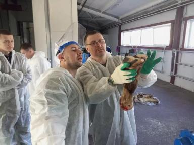 Повышение квалификации.