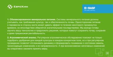 5 декабря — Всемирный день почв