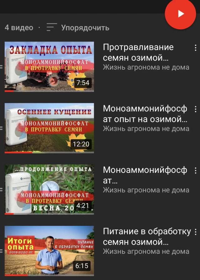 Питание семян озимой пшеницы в обработку семенного материала к севу!