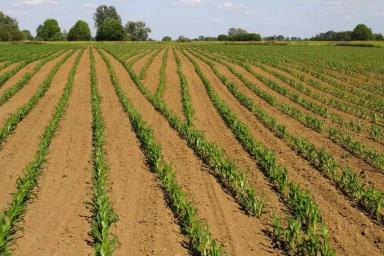 Сев с посекционным отключением: насколько целесообразна такая опция?