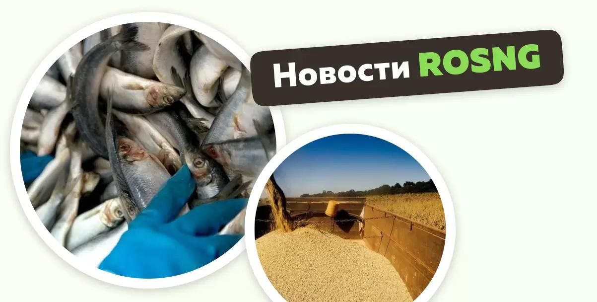 Обзор новостей за 16 января