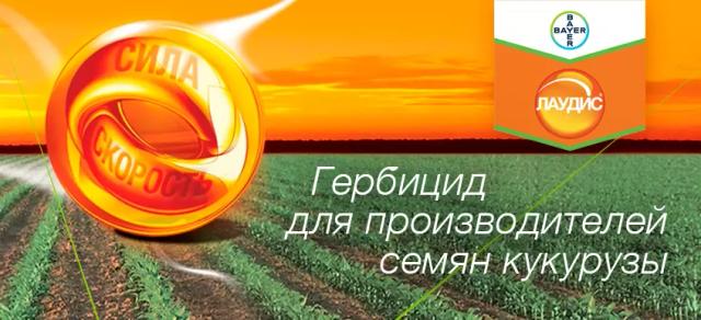 Лаудис®, ВДГ – гербицид для защиты кукурузы от сорняков