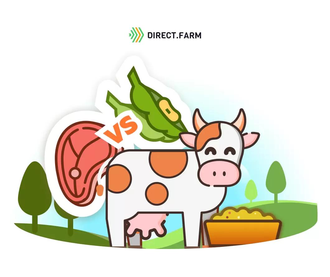 Животные белки в рационе молочных коров