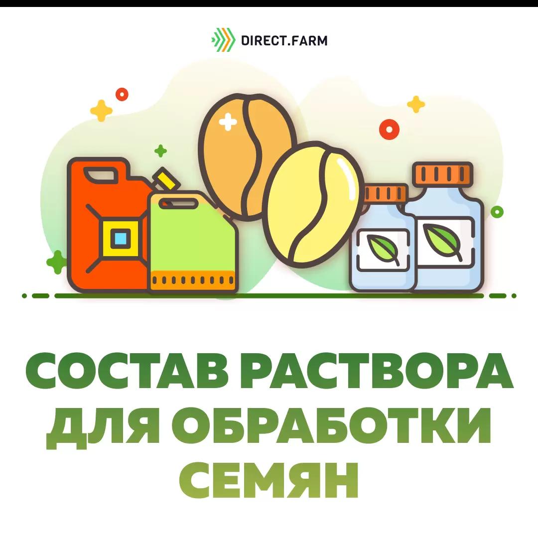 Как сделать рабочий раствор для обработки семян?