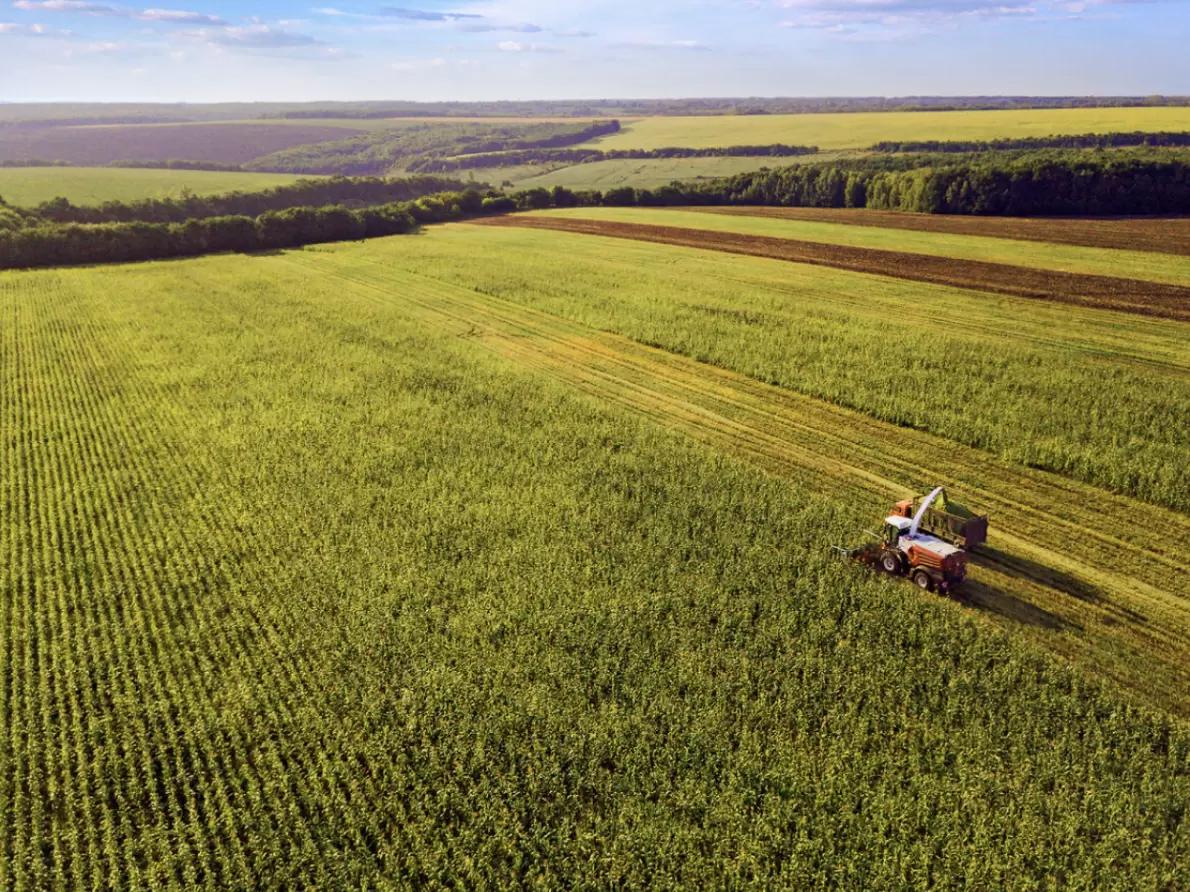 Длина резки на кормоуборочных комбайнах