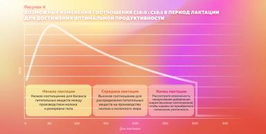 Жирные кислоты в программах кормления молочных коров