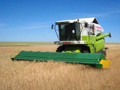 Очесывающие жатки: отзывы, особенности, применение...