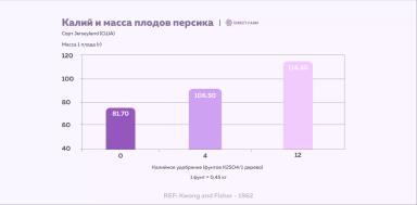 Как увеличить размер и массу плодов косточковых: элементы питания