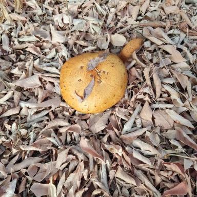 Экскурсии по сельским территориям