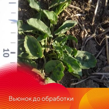 НордСтрим® – сила и надежность тройственного союза.