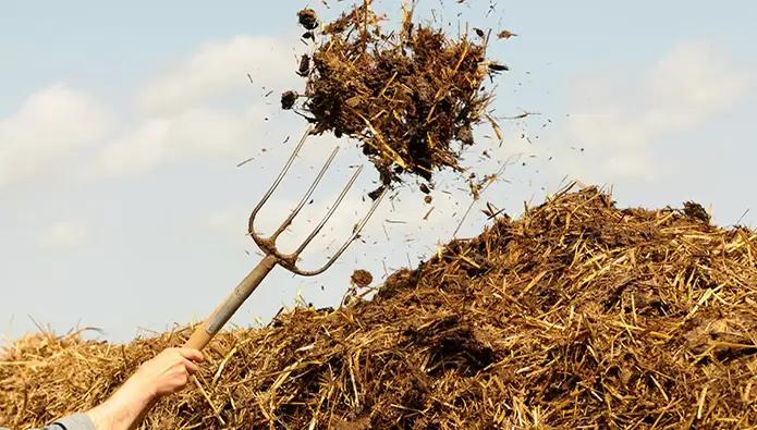 Животноводов предлагают штрафовать за нарушение правил обращения с навозом