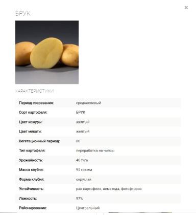 Брук