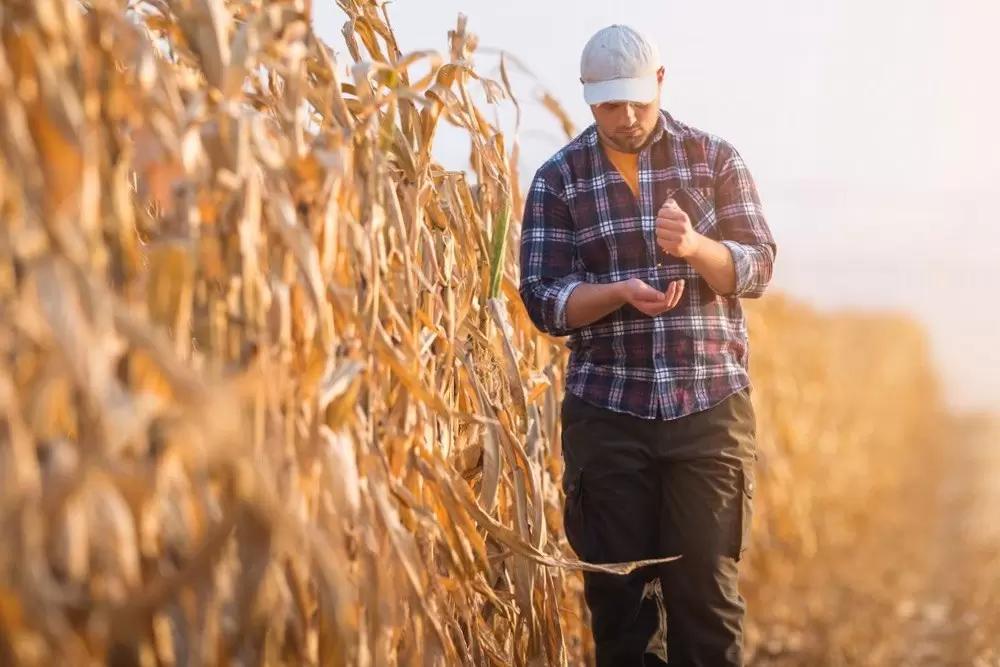 Поздравляем с Днём защитника Отечества!