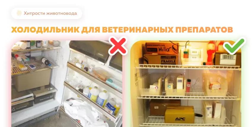 Холодильник для хранения ветеринарных препаратов