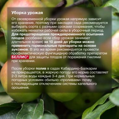 Эффективная забота о саде