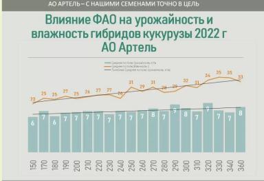 Алгоритм выбора гибрида кукурузы
