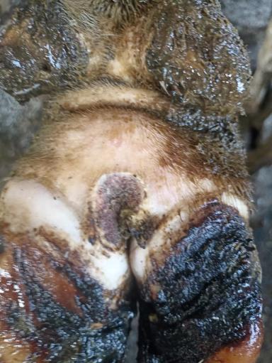 Пальцевый дерматит