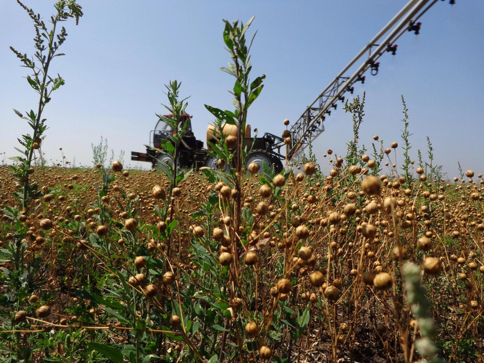 Новости с полей