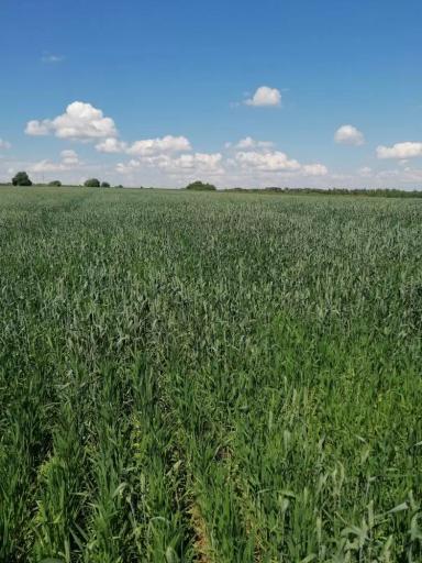 Агромониторинг