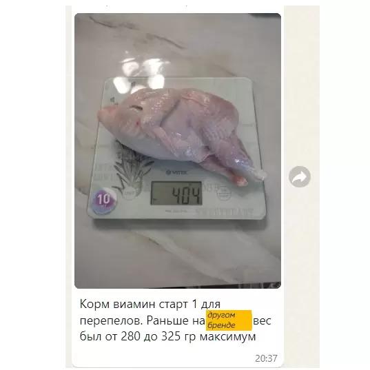 Такие результаты получают фермеры = при взращивании птицы на нашем корме🧡