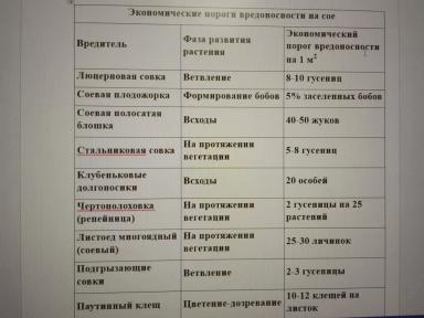 КОГДА ВРЕДИТЕЛИ ПОД КОНТРОЛЕМ