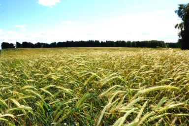 Памяти Кунакбаева