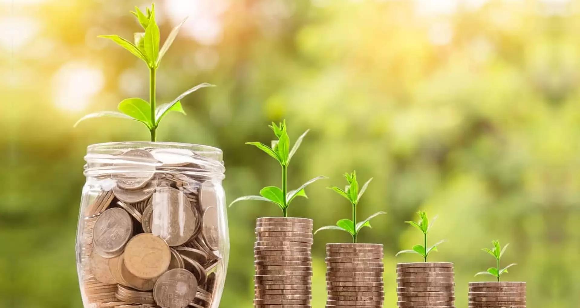 Аграрии получат больше поддержки при использовании отечественных семян