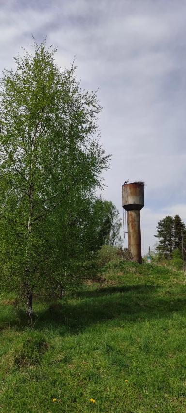 Под крылом аиста.