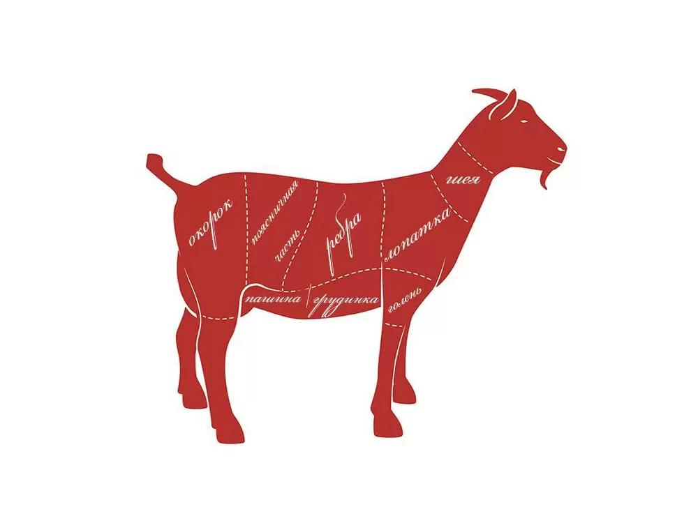 ПОПУЛЯРИЗАЦИЯ КОЗЬЕГО МЯСА