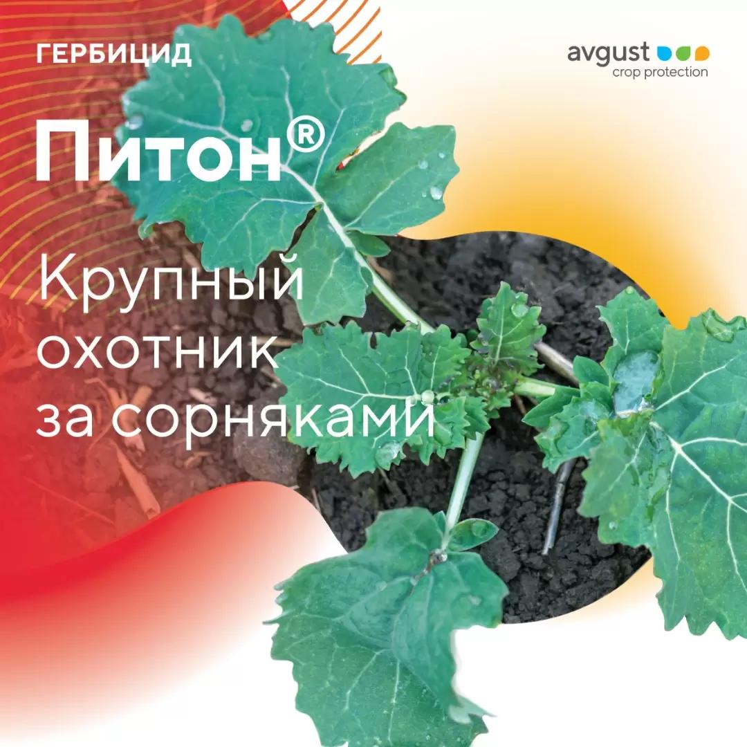 Питон® — крупный охотник за сорняками