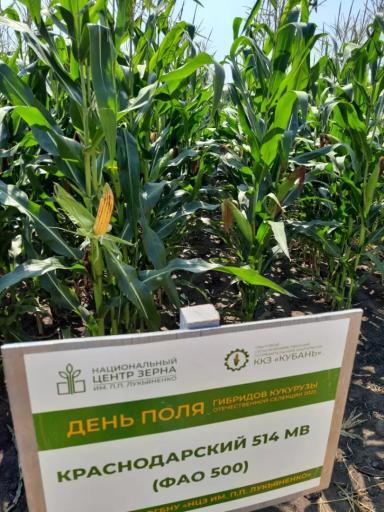 Краснодарский 514 МВ