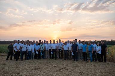 «День поля масличных культур и сахарной свеклы. ВНИИМК 2023»