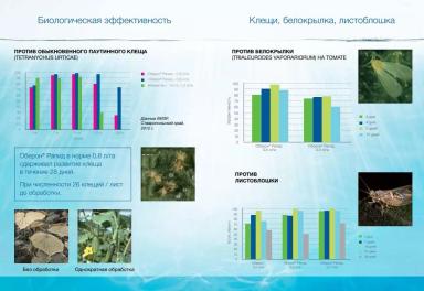 Оберон Рапид – опыт применения инсектоакарицида
