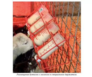 Харвуд – "Ветеринарное руководство по здоровью и благополучию коз". Гл. 8., ч. 1