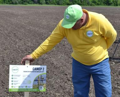 На Агрополигоне «Приволжье» посеяли сою