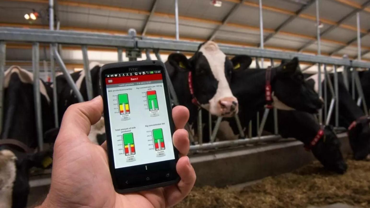 Животноводы предложили план внедрения специализированного российского ПО