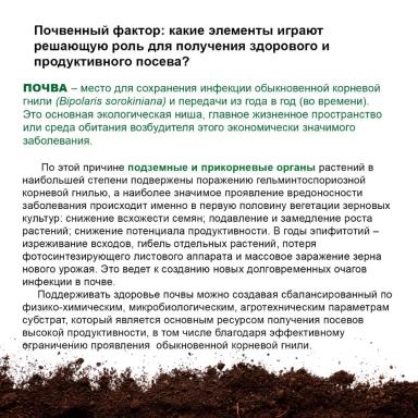 Обыкновенная корневая гниль: роль почвы