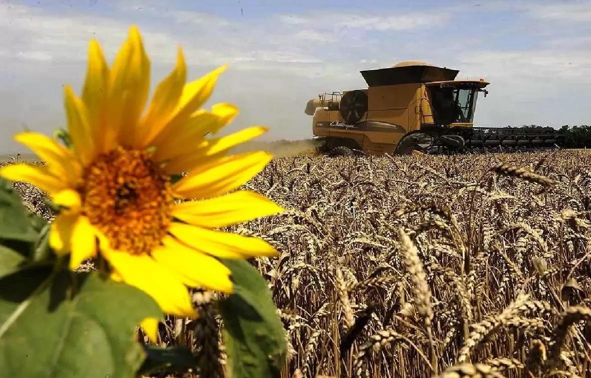 Мишустин подписал постановление о кредитах для малого и среднего бизнеса