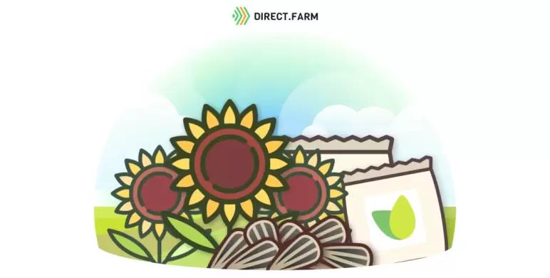 Гибриды подсолнечника Агроплазма (новинки 2023 года)