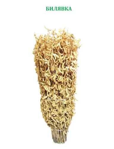 Сорта сои от Русской Генетики Билявка