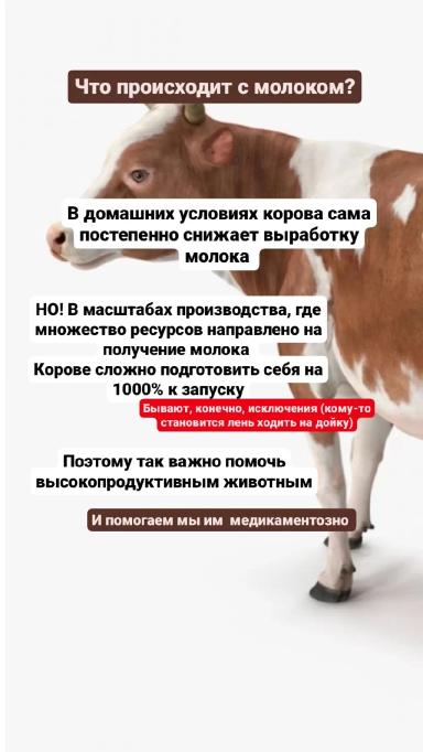 🌾 Искусство кормления: ключевой фактор здорового потомства 🌾